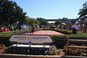 Harvesting Cranberries in Epcot