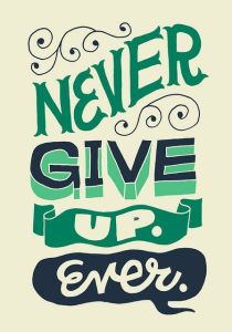 Never Give Up3